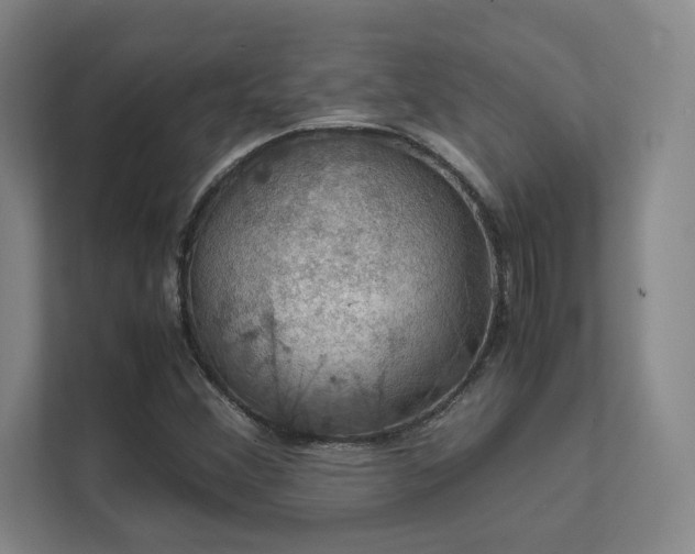 X0000112011356200908101334