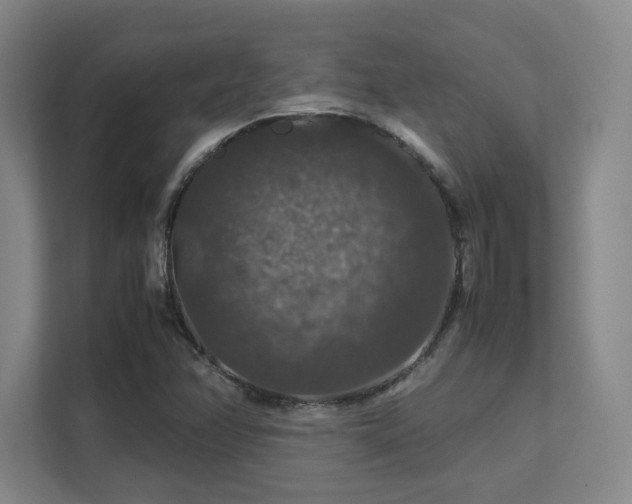 X0000112011358200908101334