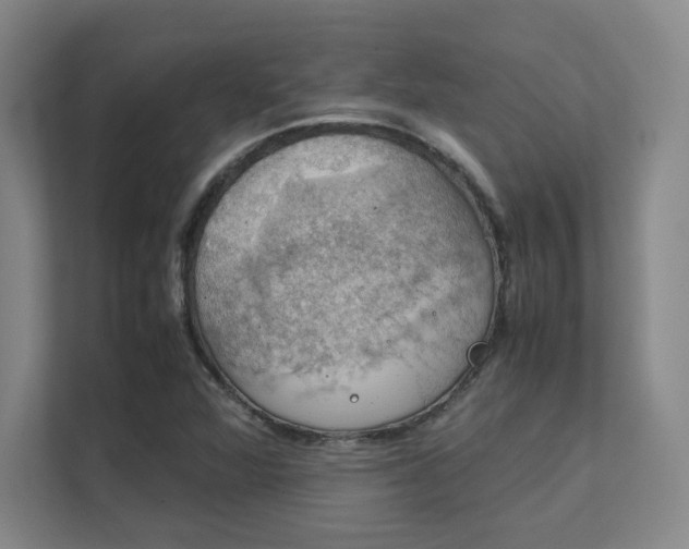 X0000112011360200908101333