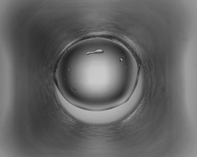 X0000112011361200908101333