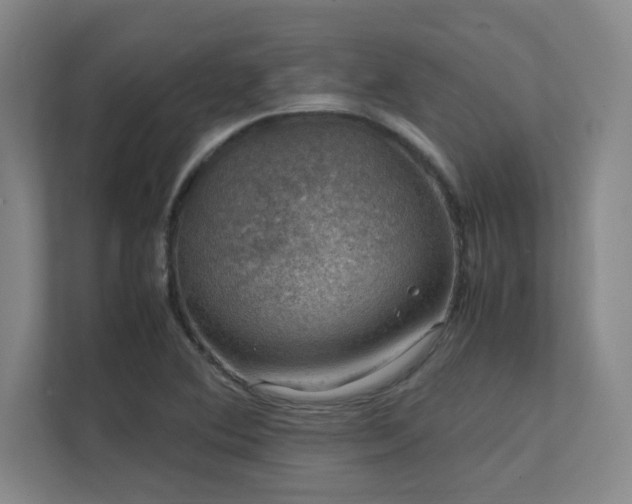 X0000112011364200908101333