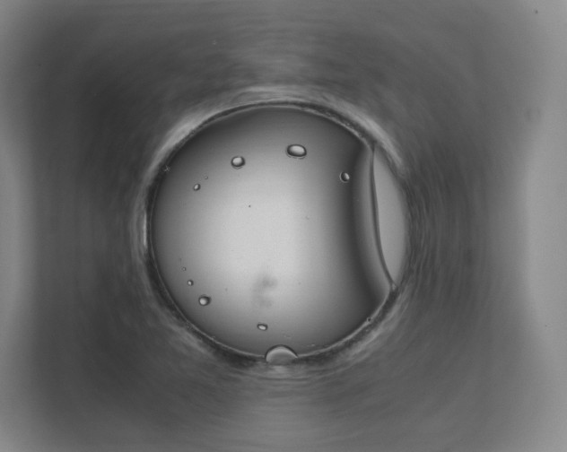 X0000112011365200908101333