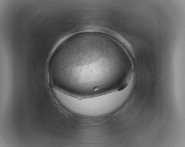 X0000112011368200908101333