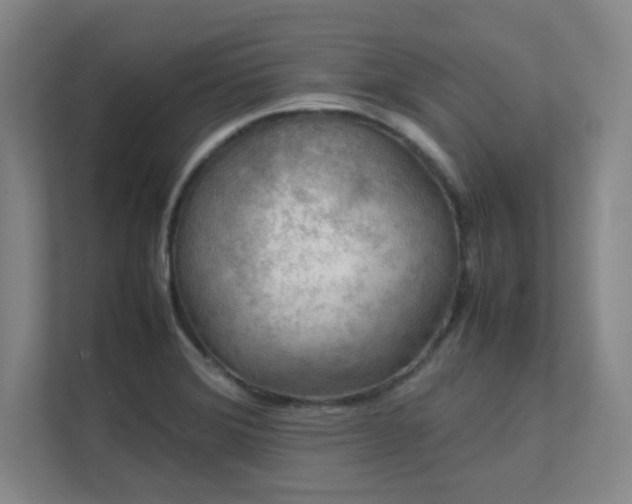 X0000112011372200908101333