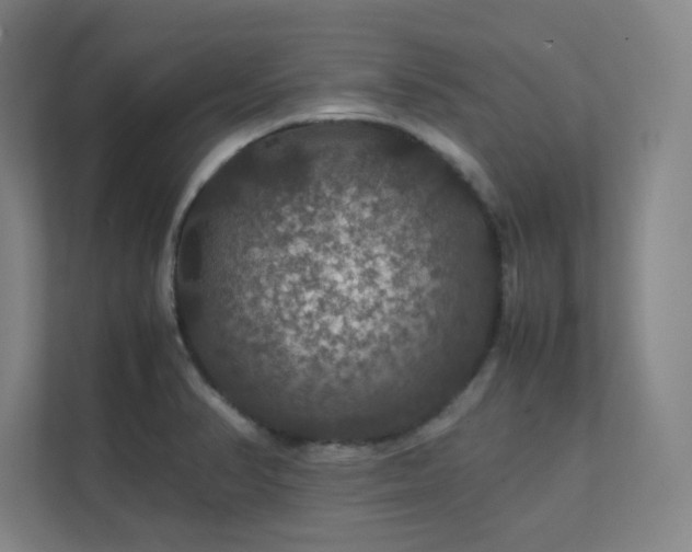 X0000112011374200908101333