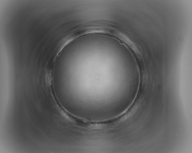 X0000112011377200908101333