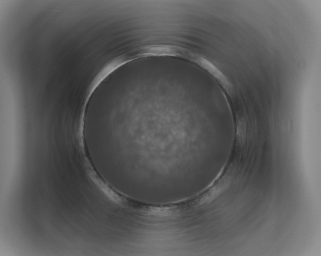 X0000112011378200908101333