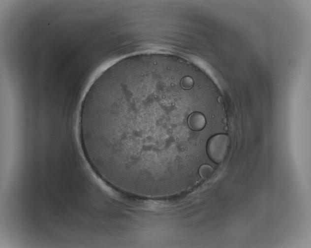 X0000112011379200908101333