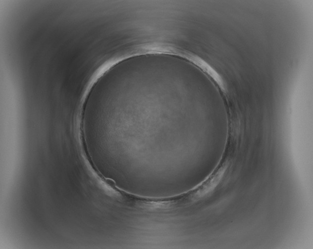 X0000112011381200908101333