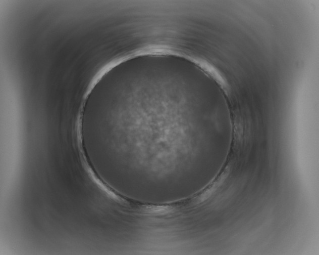 X0000112011382200908101333