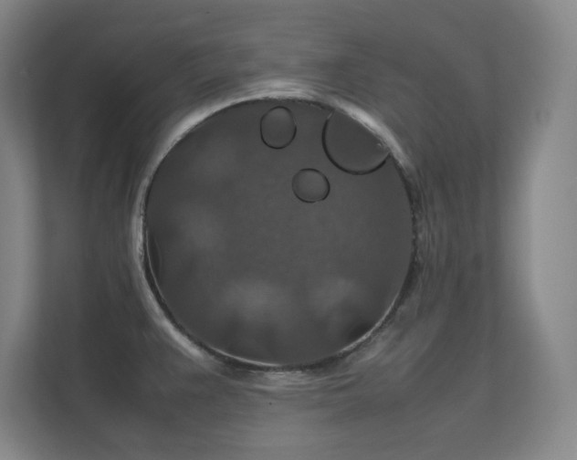 X0000112011383200908101333