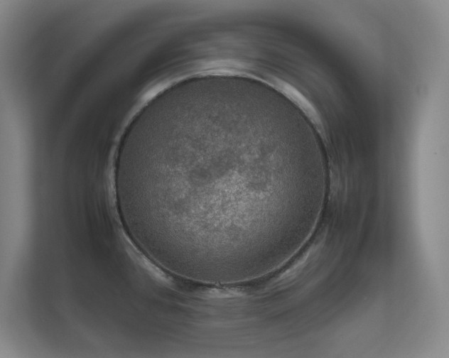 X0000112011384200908101333