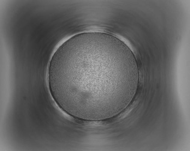 X0000112011387200908101333