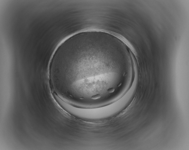 X0000112011388200908101333