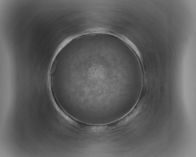 X0000112011389200908101333