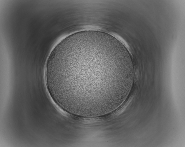 X0000112011391200908101333