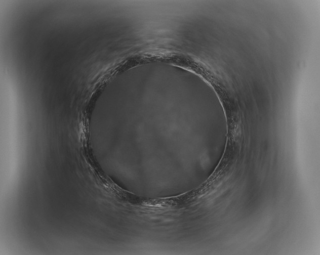 X0000112011397200908101333