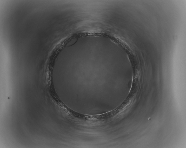 X0000112011398200908101333