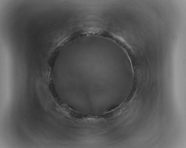 X0000112011399200908101333