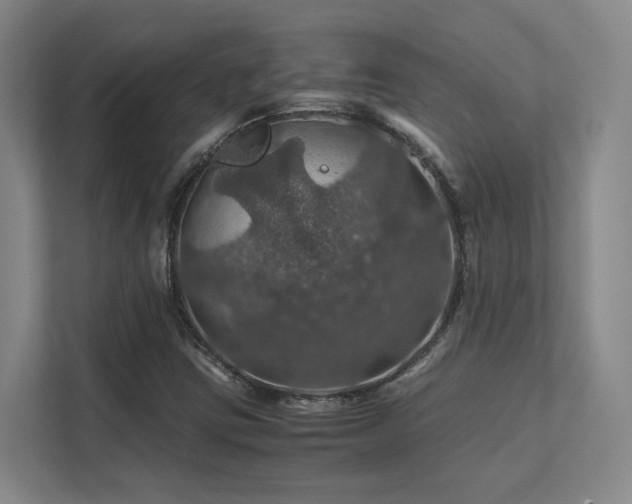 X0000112011403200908101333