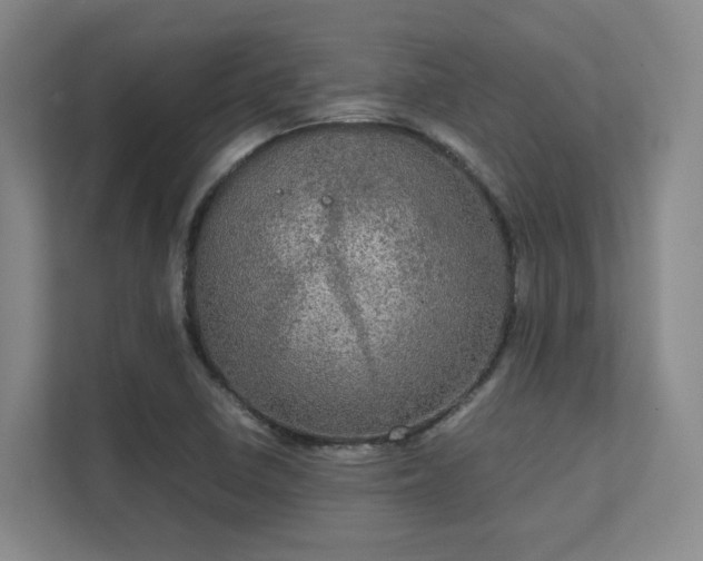 X0000112011410200908101333