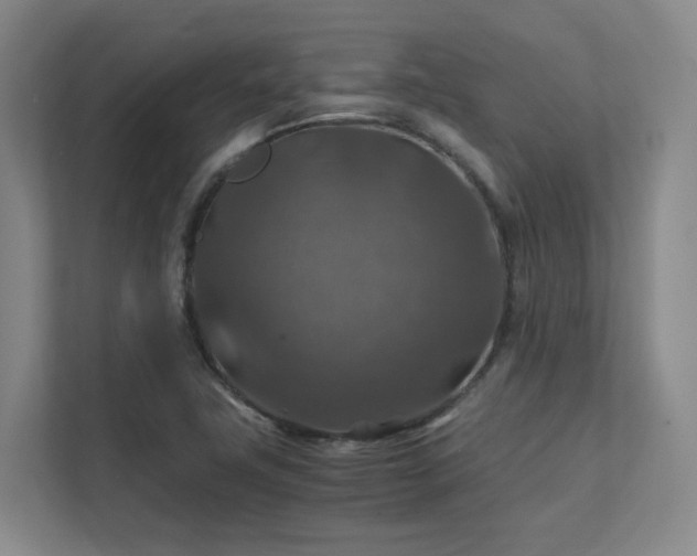 X0000112011411200908101333