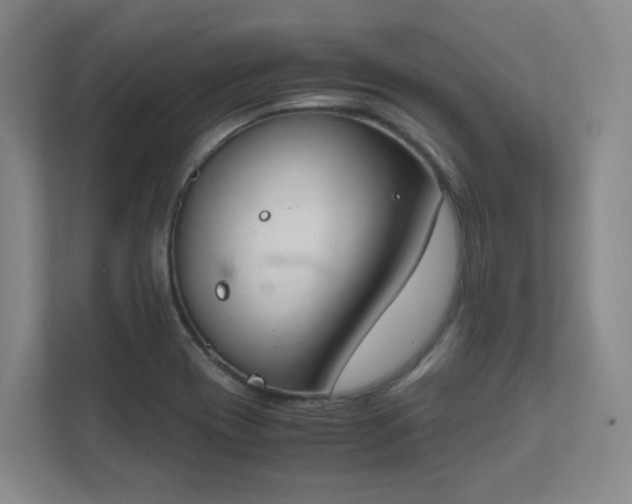 X0000112011417200908101333