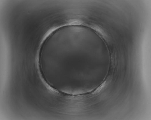 X0000112011422200908101333