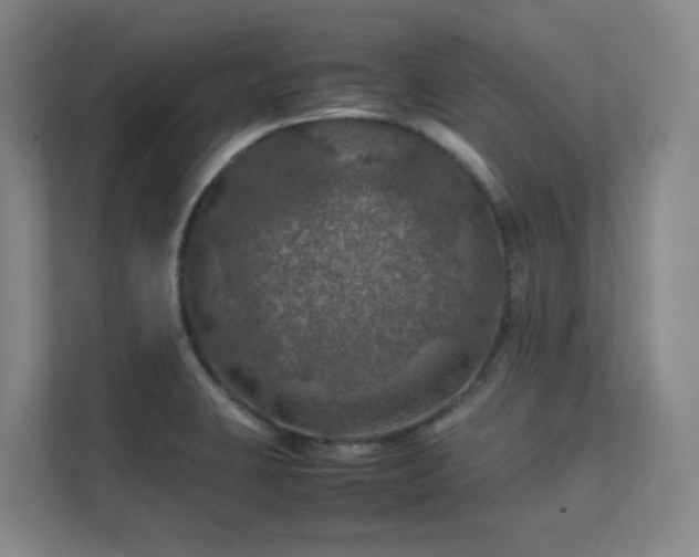 X0000112011423200908101333