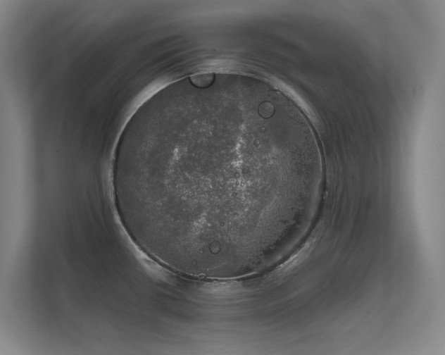 X0000112011434200908101333