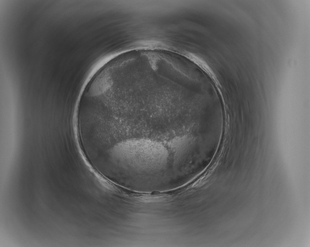 X0000112011440200908101333