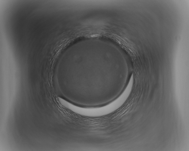 X0000112011441200908101332