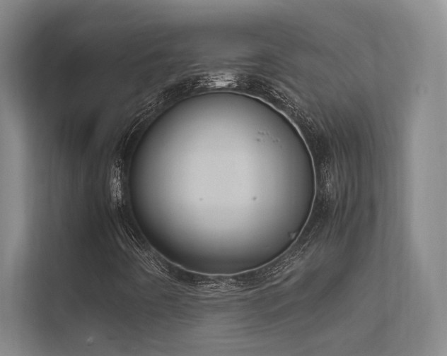 X0000112011442200908101332