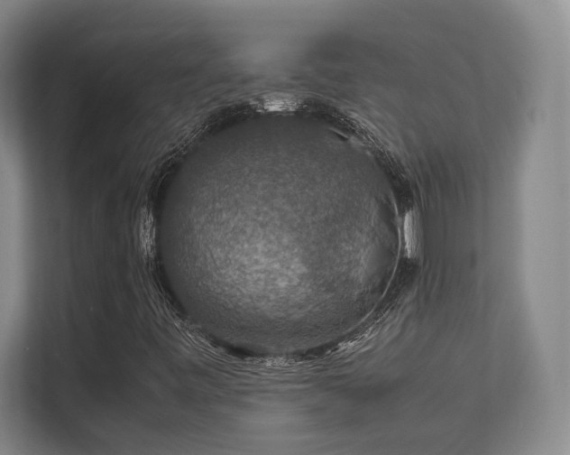 X0000112011443200908101332