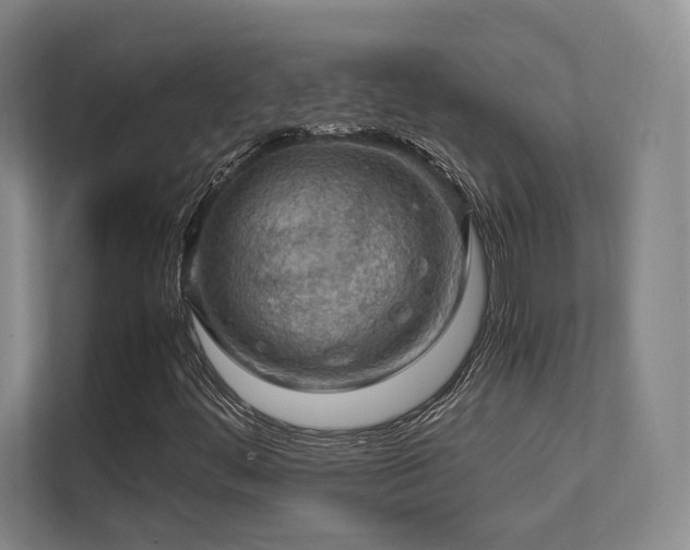 X0000112011444200908101332