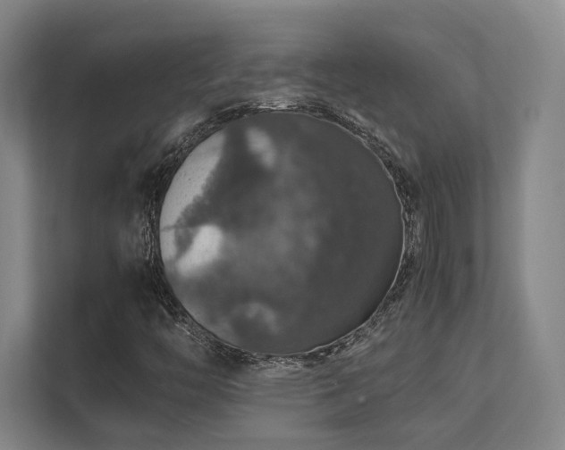 X0000112011446200908101332