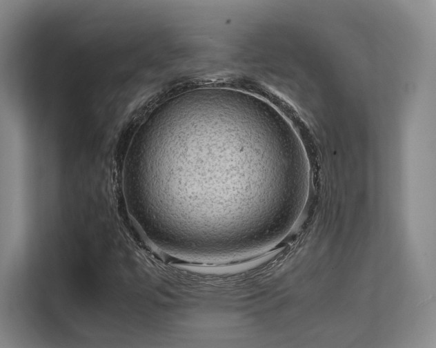 X0000112011447200908101332