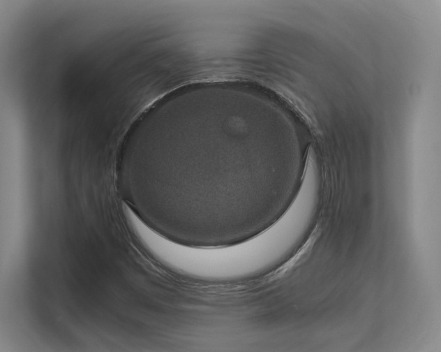 X0000112011449200908101332