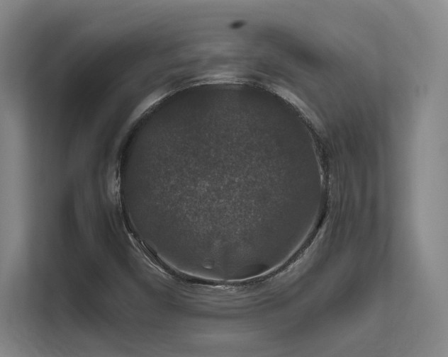 X0000112011450200908101332