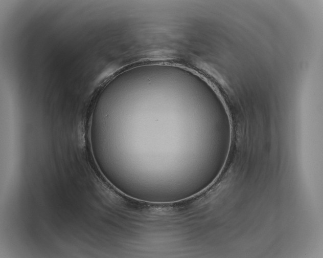 X0000112011451200908101332