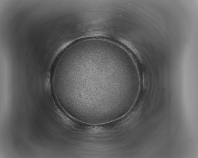 X0000112011452200908101332