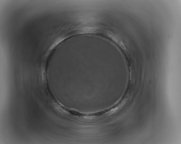 X0000112011453200908101332