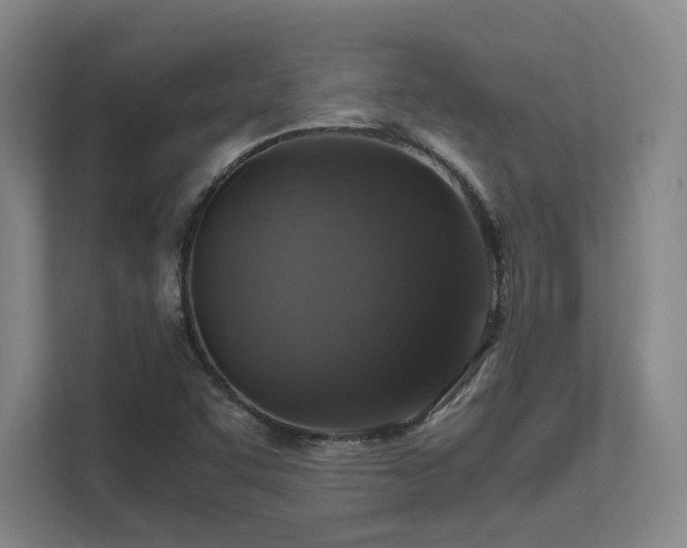 X0000112011455200908101332