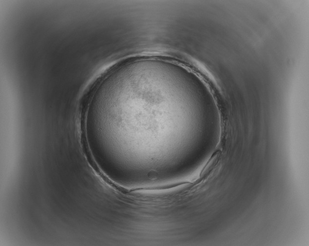 X0000112011456200908101332