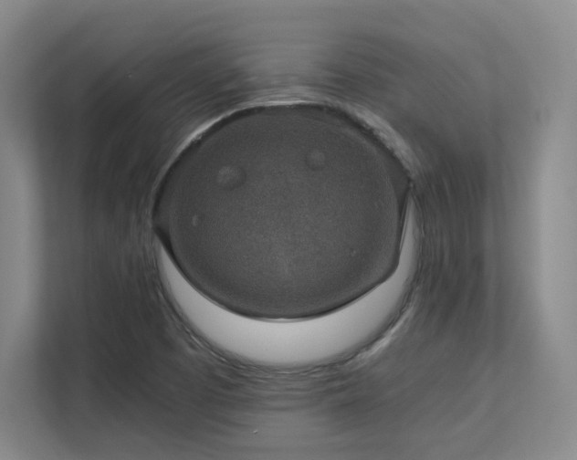 X0000112011457200908101332