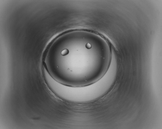 X0000112011460200908101332