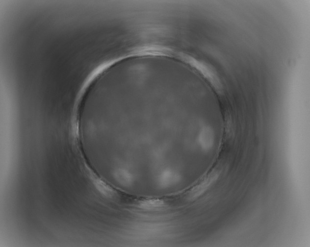 X0000112011462200908101332