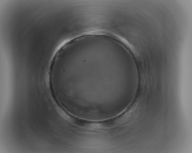 X0000112011463200908101332