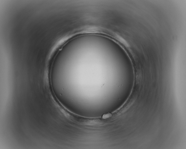 X0000112011464200908101332