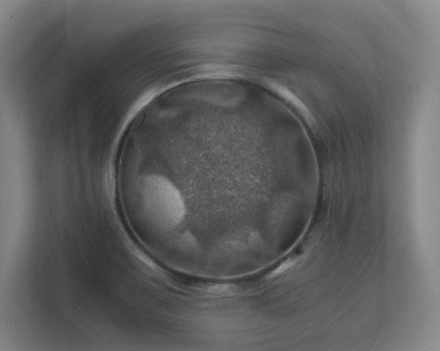 X0000112011467200908101332